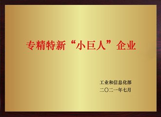 專精特新“小巨人”企業(yè)